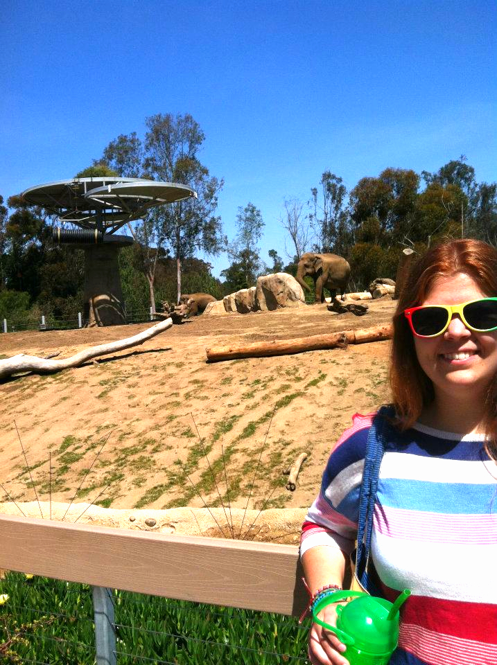 Elephant Odyssey at the San Diego Zoo